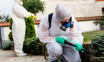 Outdoor pest treatment for garden areas – Angel City Pests