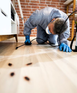 Pest inspector checking floor for insects – Angel City Pests