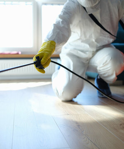 Residential floor pest control application – Angel City Pests