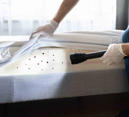 Inspecting mattress for active bed bug infestation – Angel City Pests