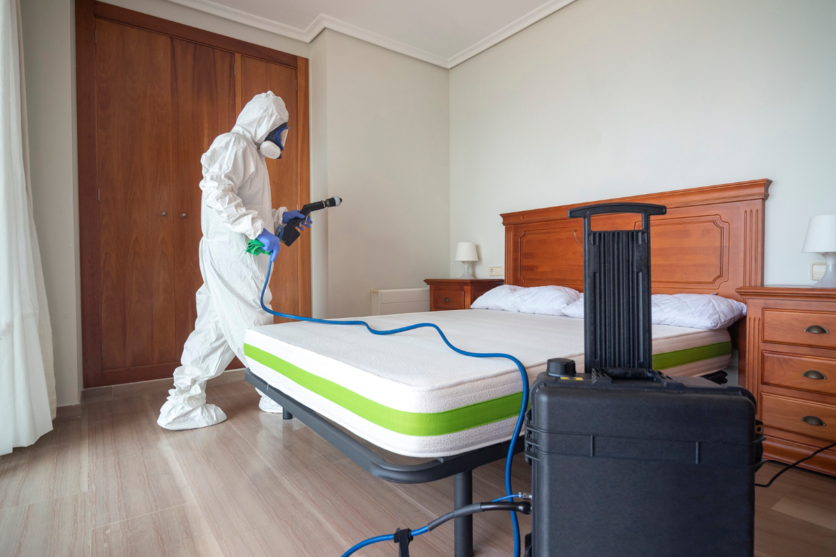 Pest technician treating bedroom for bed bugs – Angel City Pests