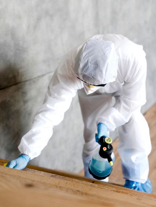Pest control specialist inspecting stairway surfaces – Angel City Pests