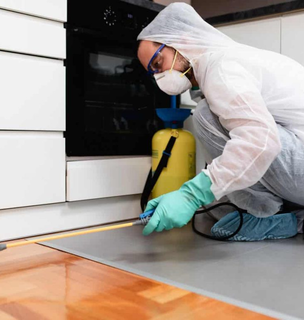 Technician treating kitchen floor for pests – Angel City Pests