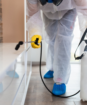 Pest control specialist spraying interior baseboards – Angel City Pests