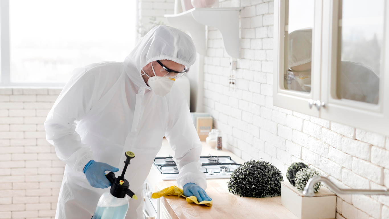 Kitchen countertop pest control sanitation – Angel City Pests