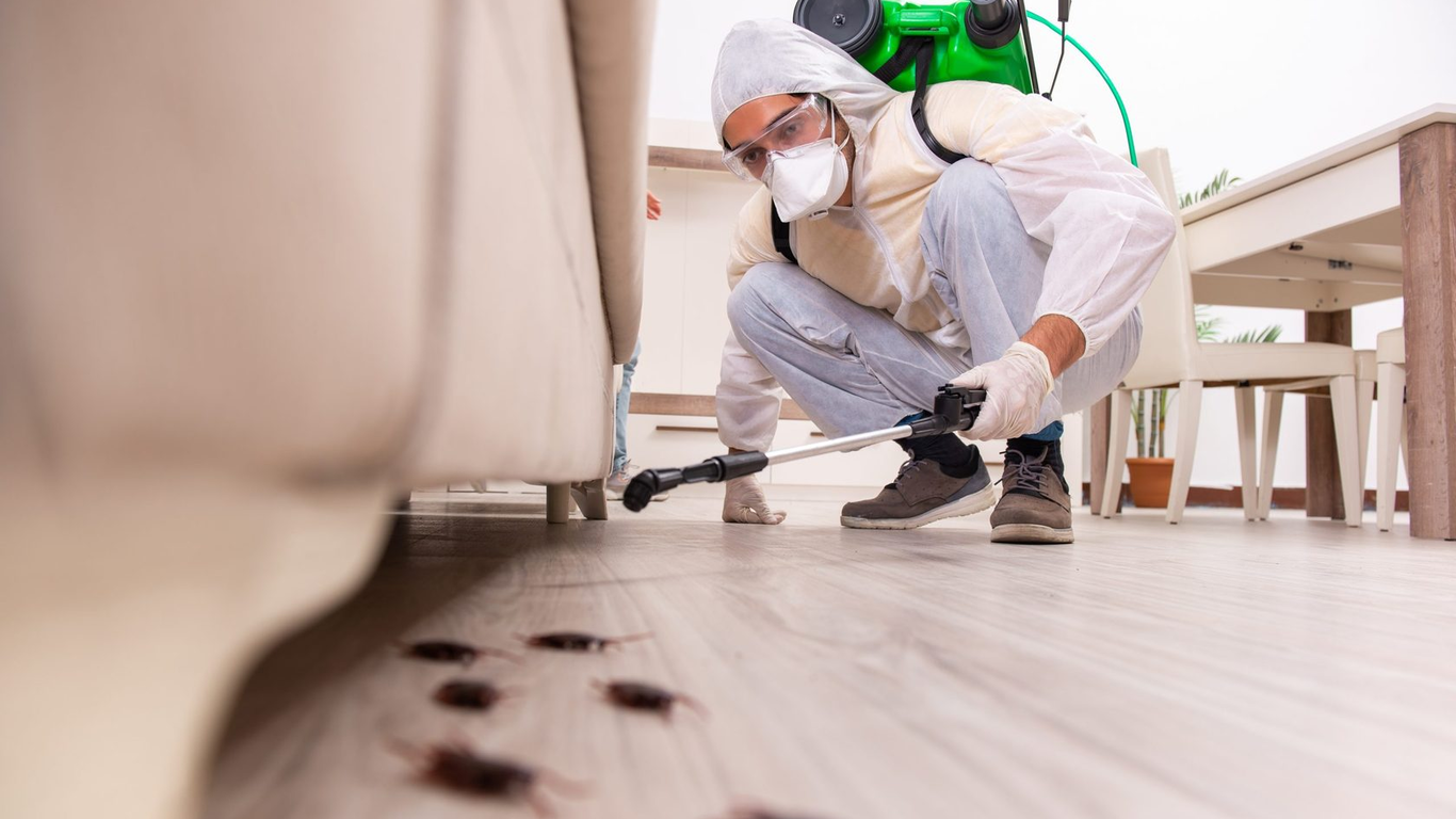Pest technician inspecting cockroach infestation under furniture – Angel City Pests