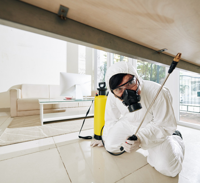 Interior pest inspection under furniture – Angel City Pests