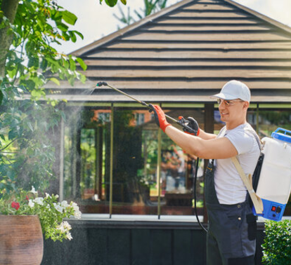 Outdoor garden pest spraying with backpack sprayer – Angel City Pests