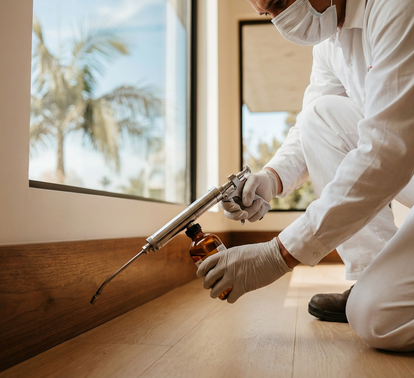 Interior termite treatment along wooden baseboards – Angel City Pests