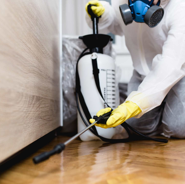 Technician performing kitchen floor pest control – Angel City Pests