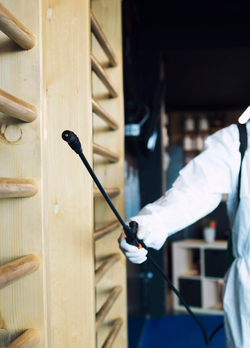 Pest control technician treating kitchen cabinets – Angel City Pests
